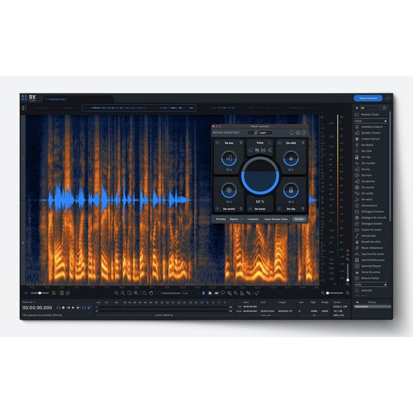 iZotope RX 10 Advanced - Upgrade van RX 1-9 Standard (download)