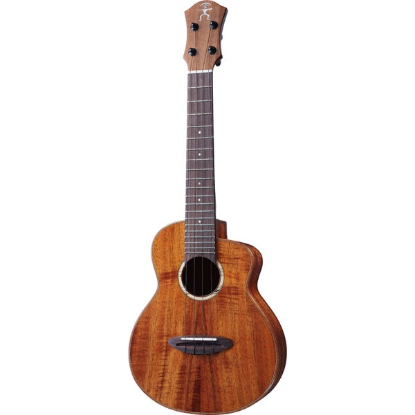 aNueNue Bird UC 1K Concert Ukulele met koffer