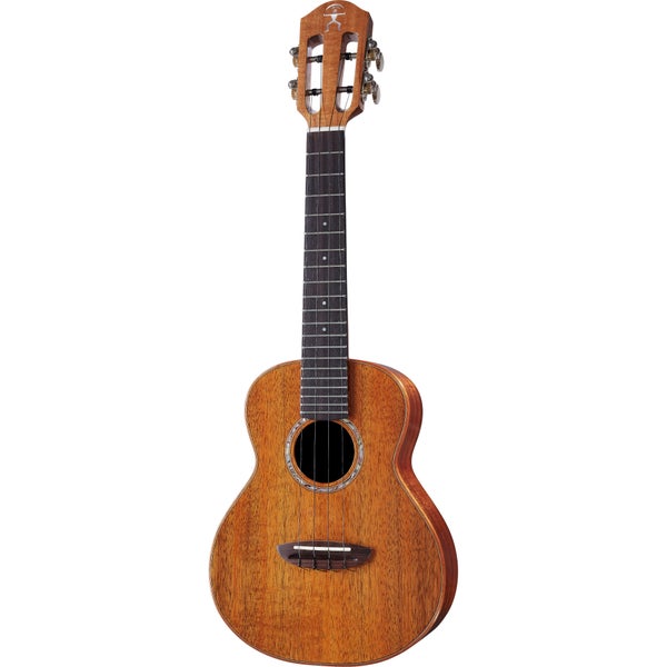 aNueNue Hawaiian Koa II Concert Ukulele met gigbag