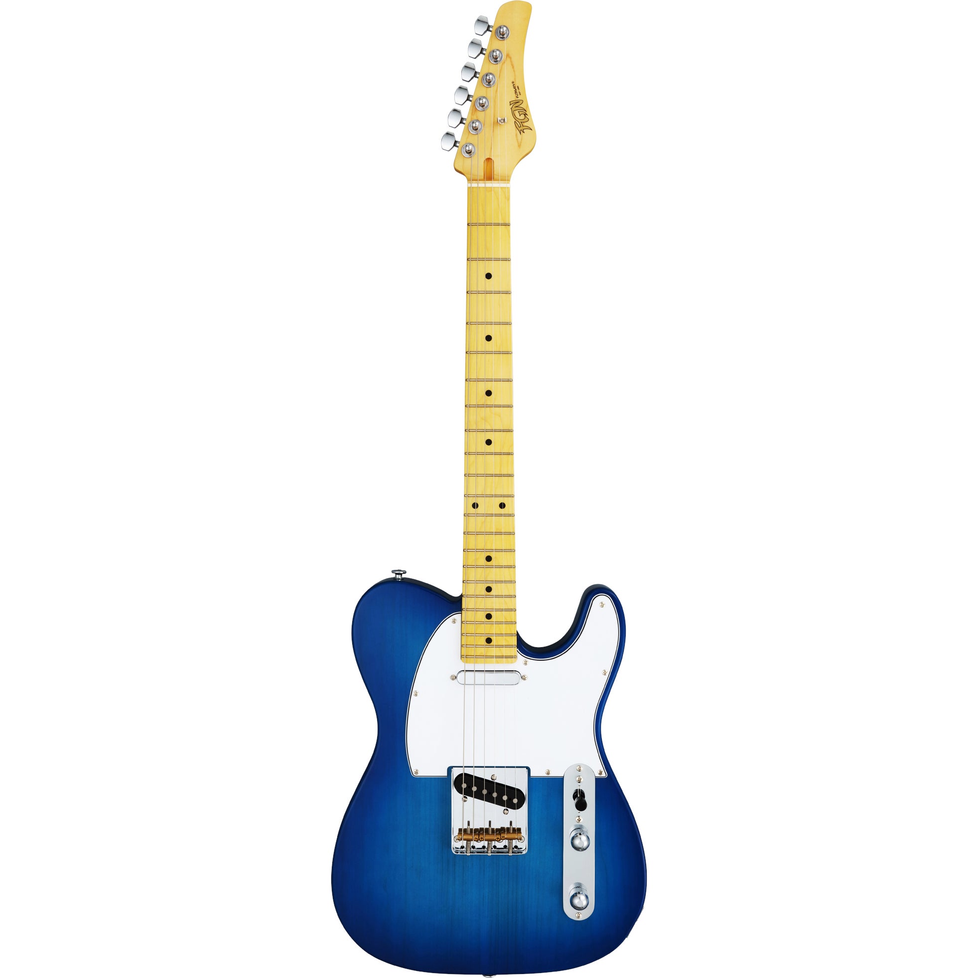 FGN Guitars Boundary TL Transparent Blue Sunburst elektrische gitaar