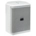 DAP Xi-5 passieve 5 inch installatie luidspreker, wit