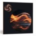 iZotope Neutron 5 EDU (download)