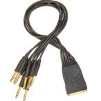 D'Addario PW-TRSB-01 DB25 Female TRS breakout kabel