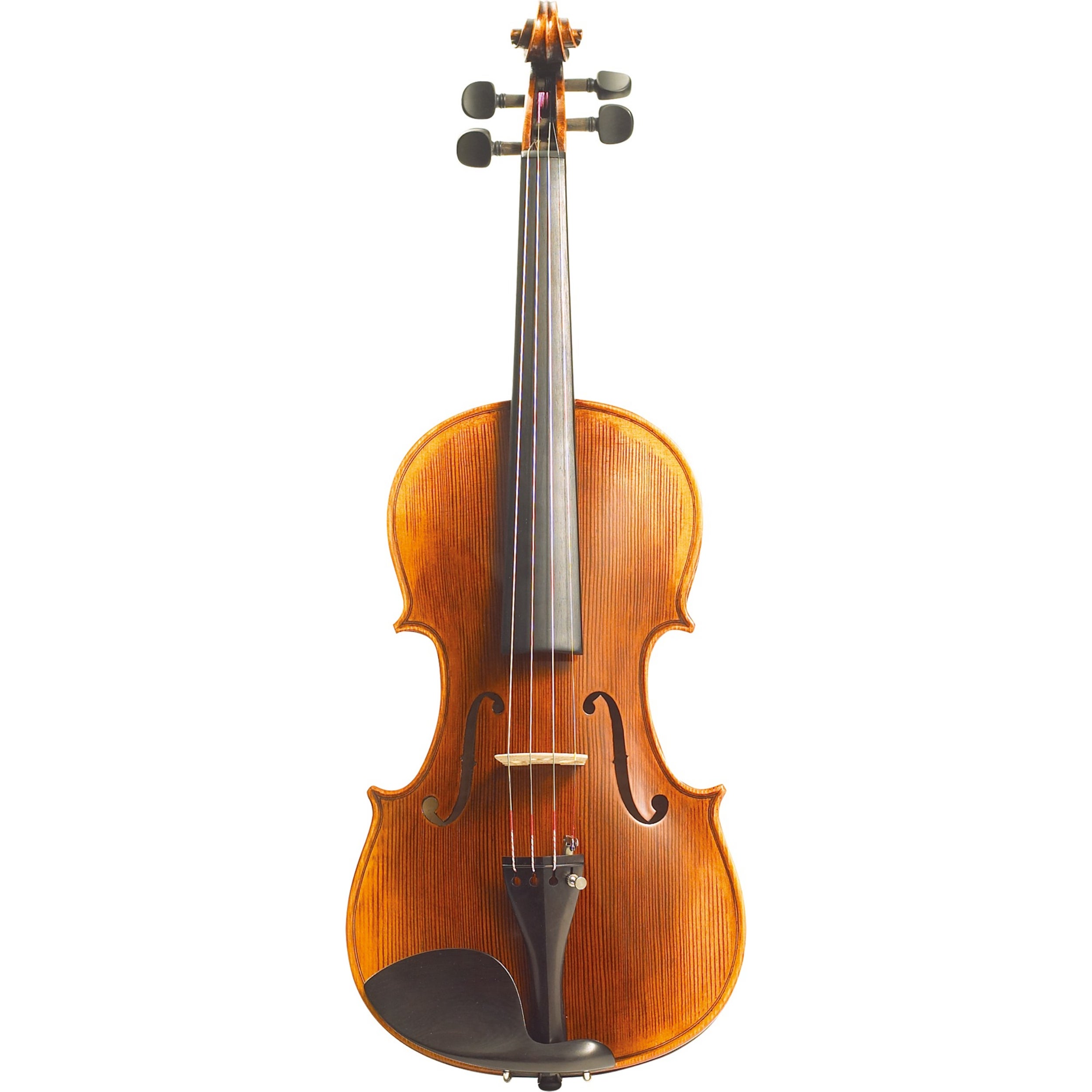 Stentor SR1875A Elysia 4/4 akoestische viool
