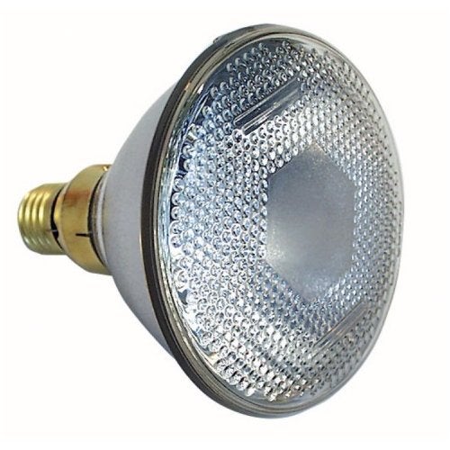 Showtec Par 38 lamp E27 flood 240V 90W