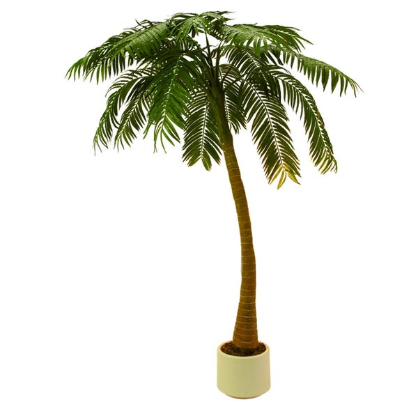 Europalms palmboom 300 cm
