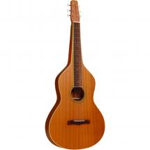 Gold Tone GT-Weissenborn lap steel gitaar