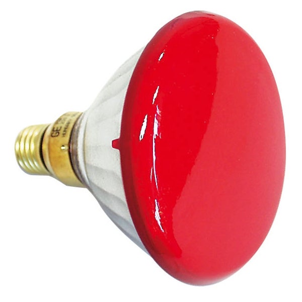 Showtec E27 230V 80W par38 lamp rood