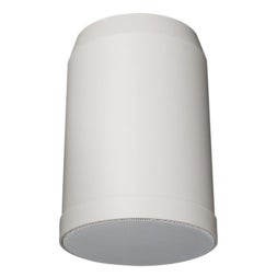 DAP HS-510P hangende luidspreker 5 inch 10 watt ABS 100V