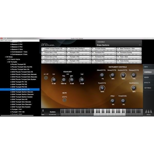 Garritan Personal Orchestra 5 (download)