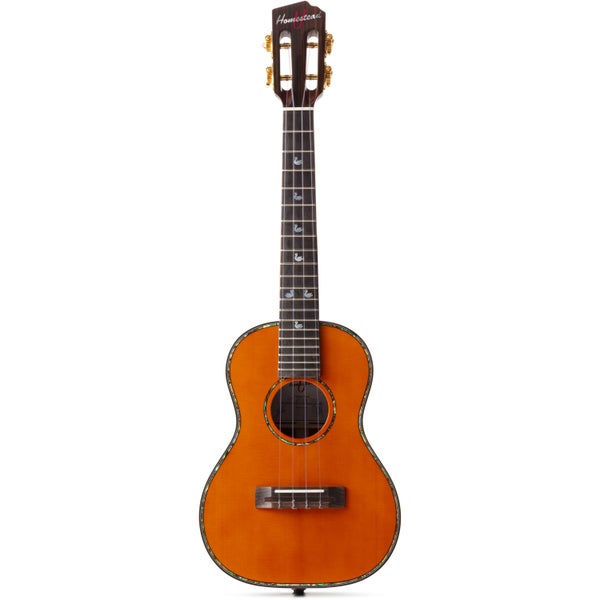 Homestead UK-T elektrisch-akoestische tenor ukelele met koffer