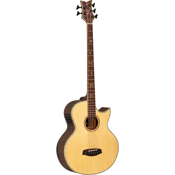 Ortega Signature Series Ken Taylor KTSM-5 akoestische vijfsnarige basgitaar met gigbag