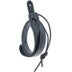 D'Addario 75M00 band voor mandoline zwart