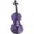 Stentor SR1401 Harlequin 4/4 Deep Purple akoestische viool inclusief koffer en strijkstok