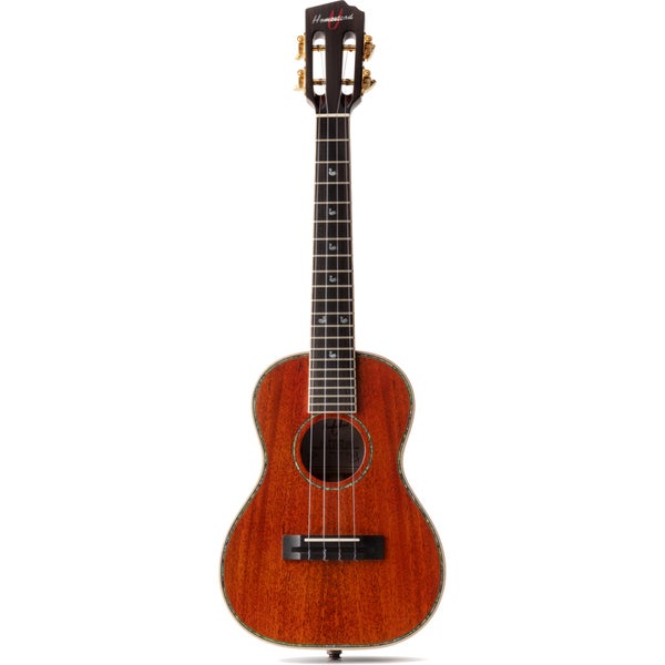 Homestead UK-TM elektrisch-akoestische tenor ukelele met koffer