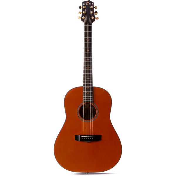Javatar DS Dreadnought Slope Shoulder elektrisch-akoestische westerngitaar met gigbag