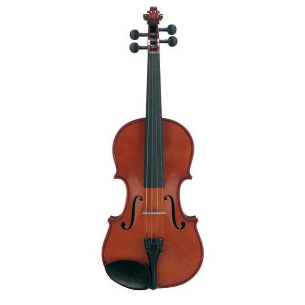 Leonardo LV-1644 Basic Series Violin Outfit 4/4 akoestische viool inclusief koffer en strijkstok